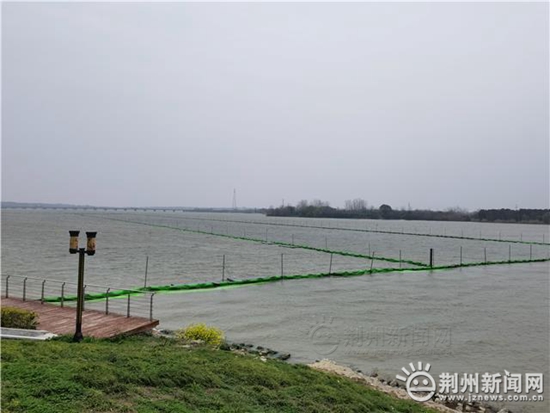 改善水环境及人居环境 荆州市长湖水生态修复工程启动