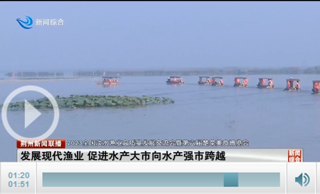 “云开·全站APPkaiyun”荆州：发展现代渔业 促进水产大市向水产强市跨越(图1)